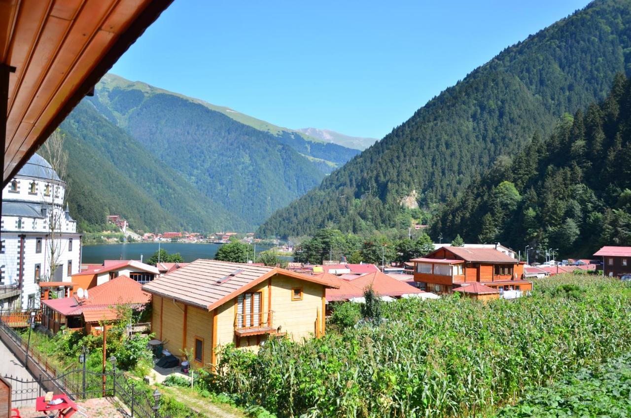 One-Bedroom Apartment with Balcony and Lake View