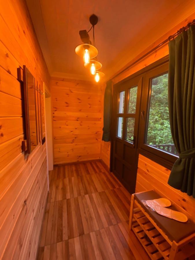 Standard Double Room,1408383704:JPEG