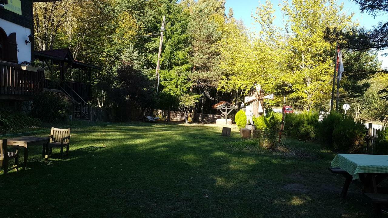 Villa with Garden View,799314687:JPEG