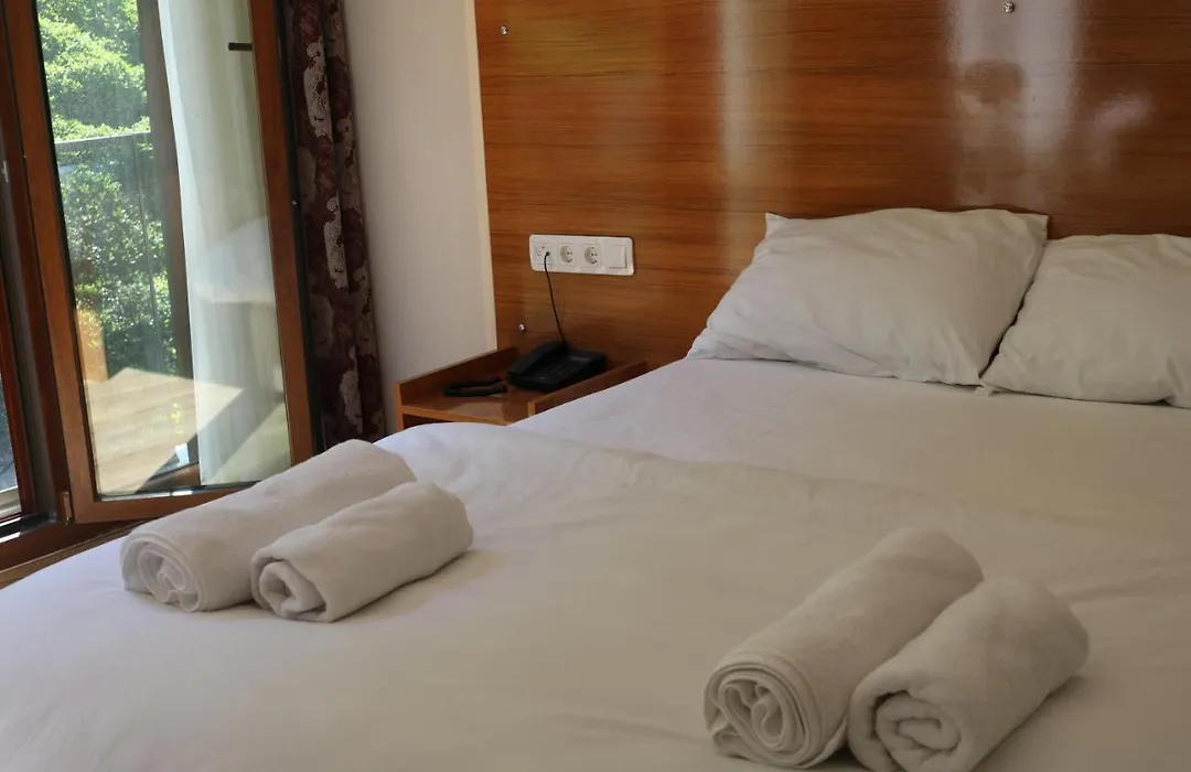 Oris Green Hotel-1