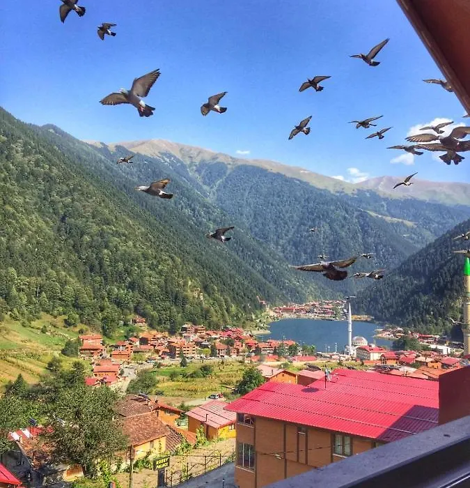 Uzungöl Özbek Apart ve Kafe-1