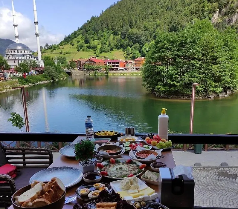 Dear Otel Uzungöl-1