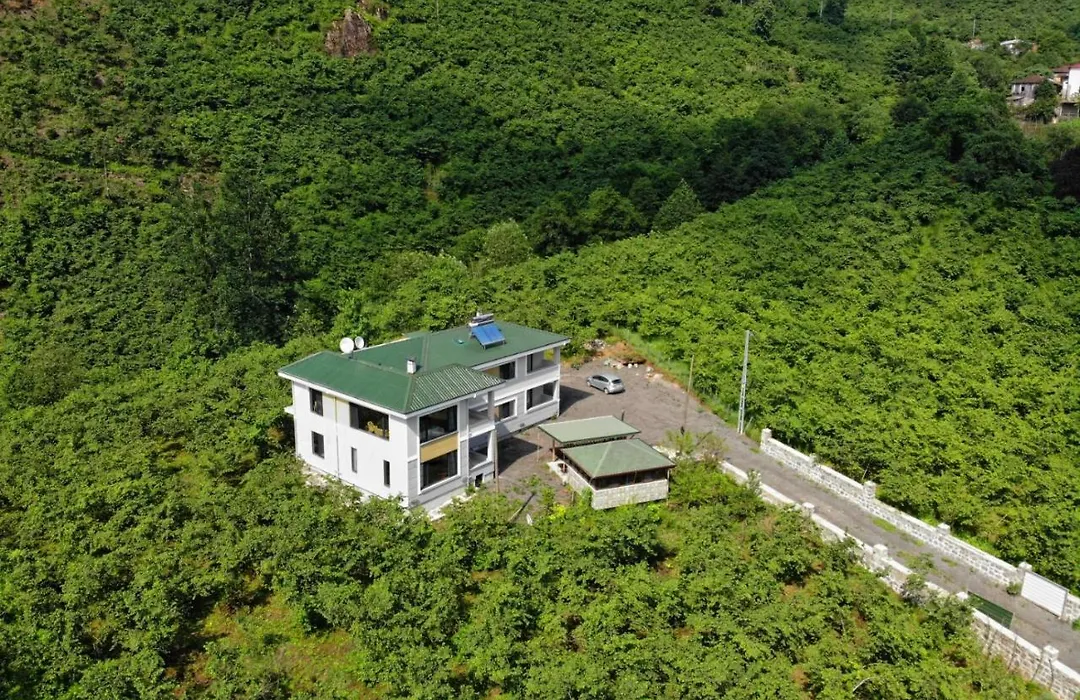 Luxury Nature Life Villa-1