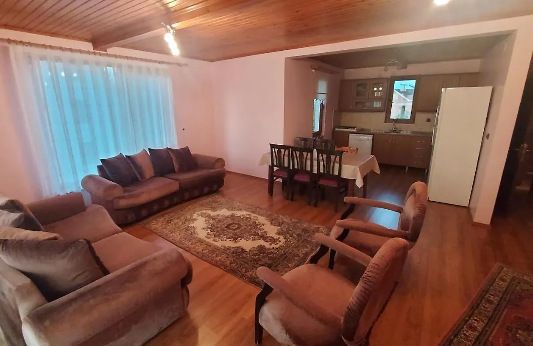 Trabzon Villa With Garden-1
