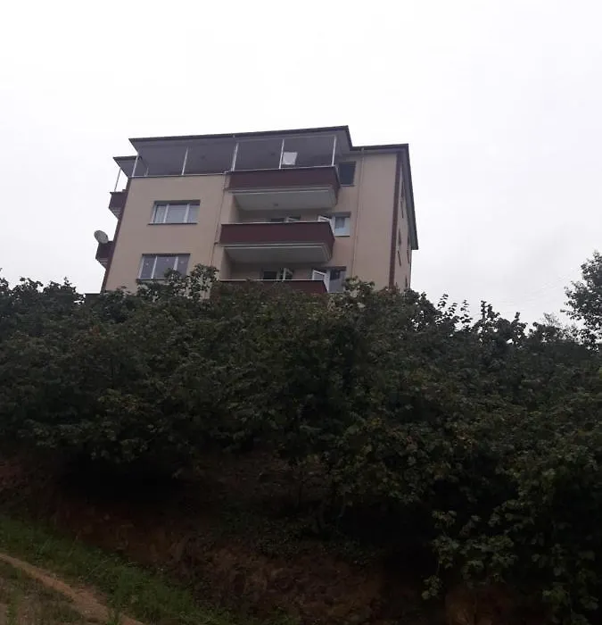 Memis Apartmani-1