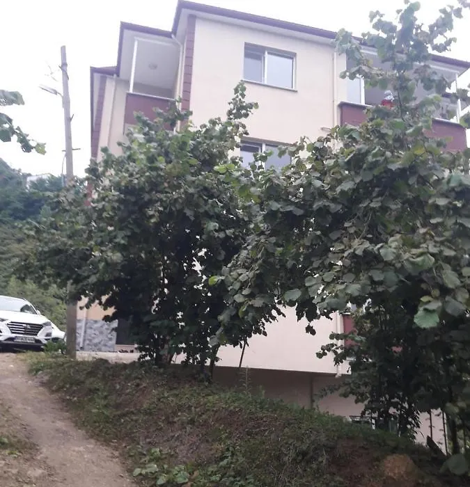 Memis Apartmani-1