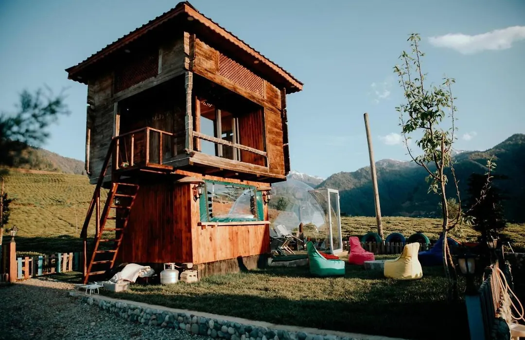 Mosa Bungalov-1