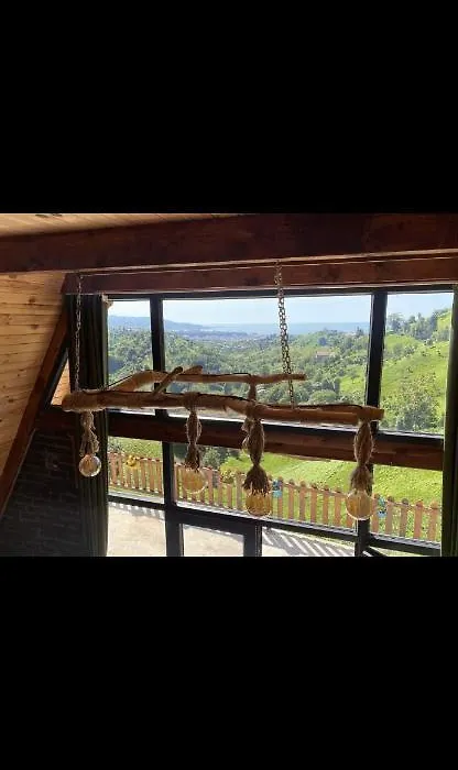 Şimşir bungalow-1