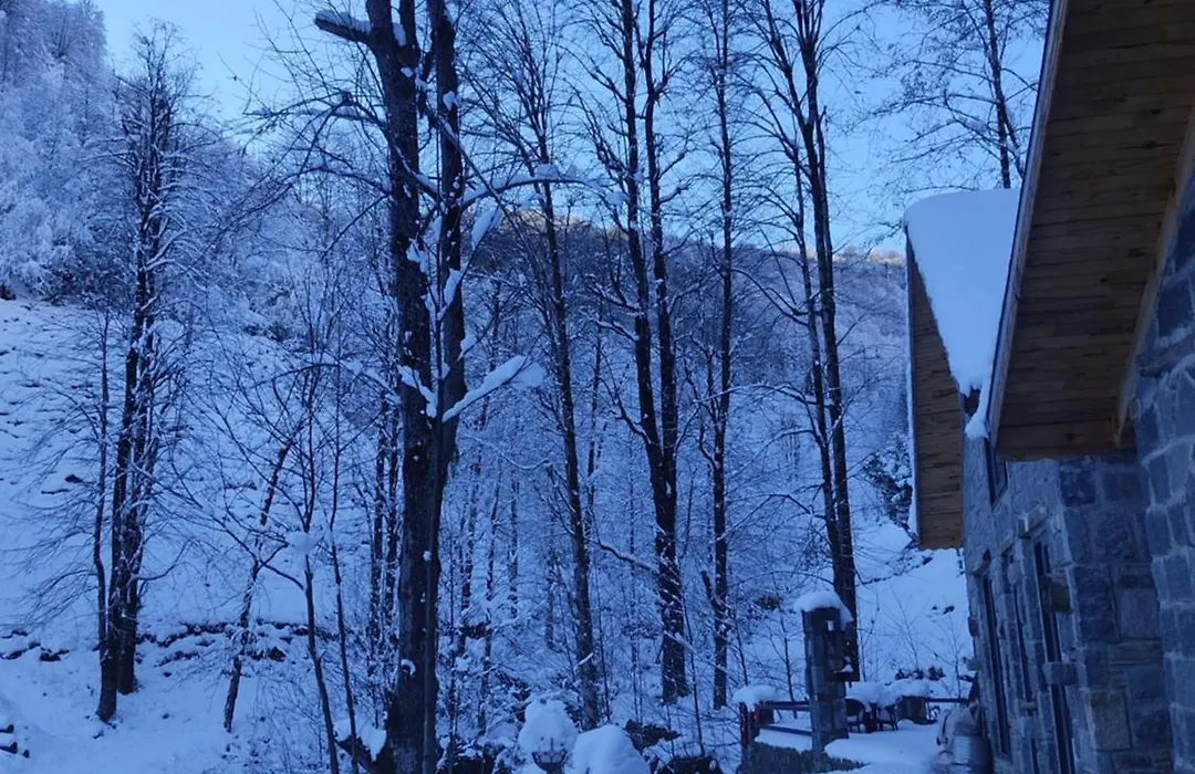 Elavina Suit Bungalov-1