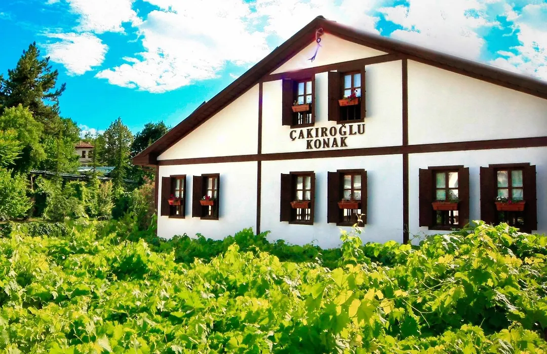 Cakiroglu Konak-1