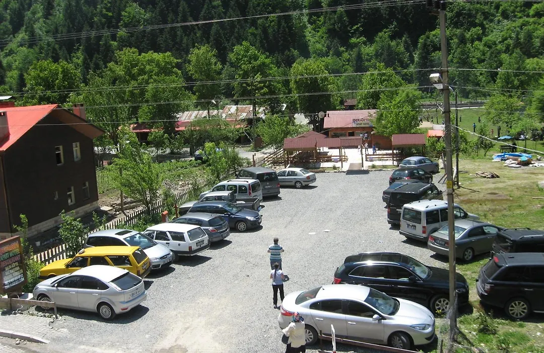 Sara Home-1