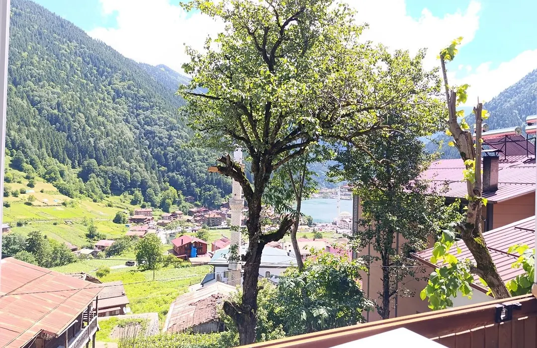 GRANOĞLU PANSİYON Uzungöl-1