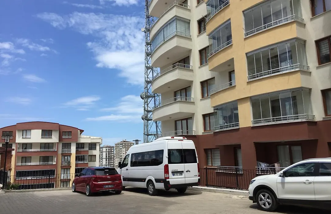 Alya Suite-1