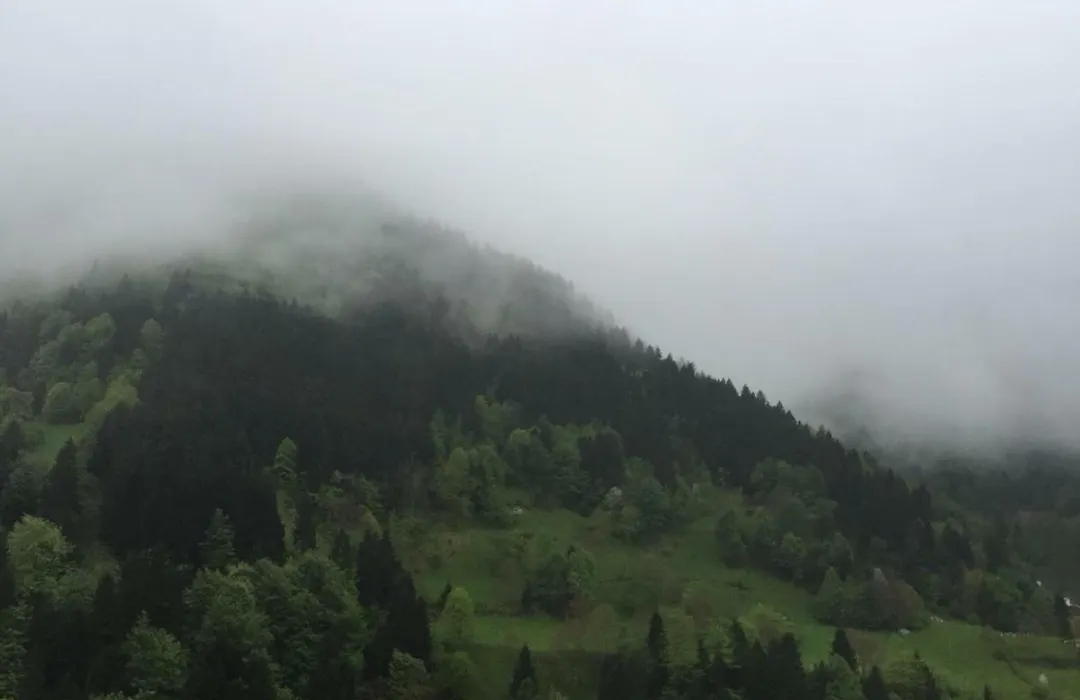Come To Uzungol-1