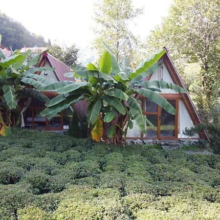 Tabiat Bungalows Otel-2