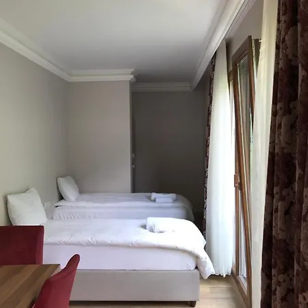Oris Green Hotel-3