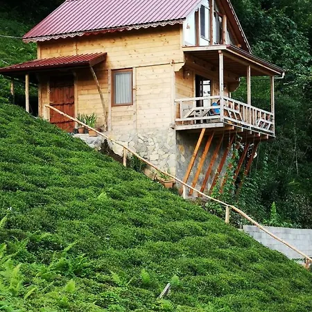 Vadi dağ evi bungalov-2