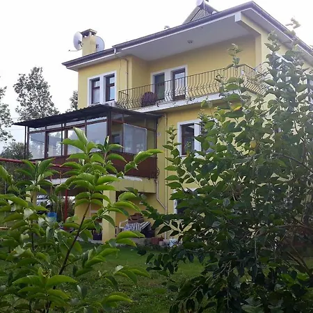 Asma-2
