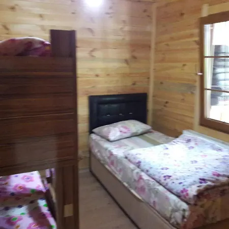 Sara Home-2