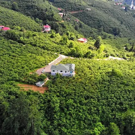 Luxury Nature Life Villa-2