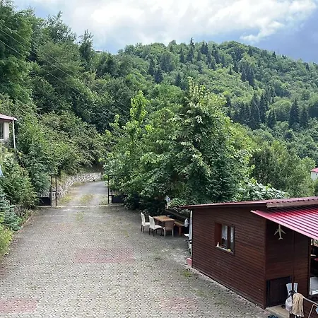 Kuvvet Villa Ve Muestakil Evler-2
