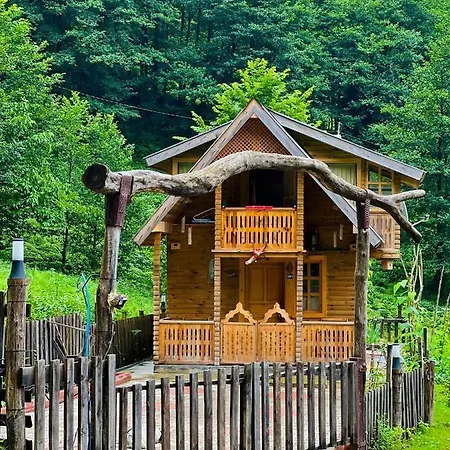 Tolikapca Villa Bungalov-3