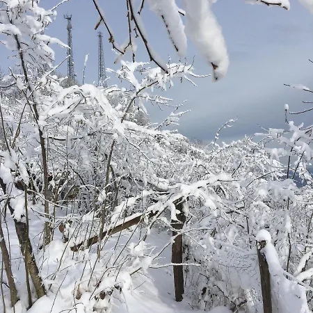 Nefs-I Karluk Villasi-2