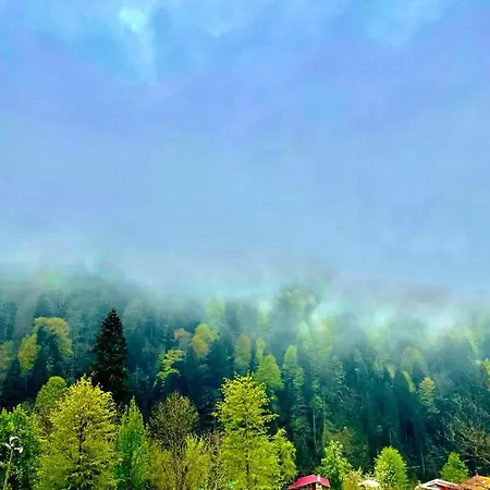 Ayder Vesile Otel-3
