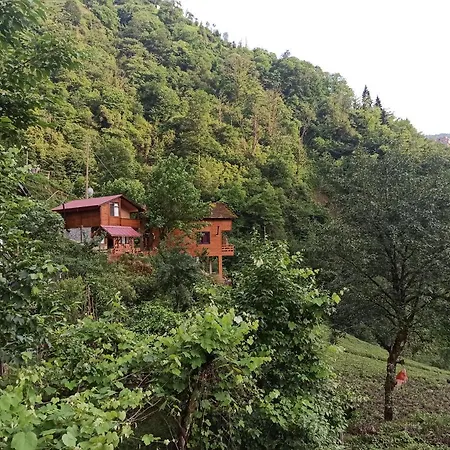 Avıtte Dağ Evlerı-3