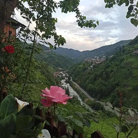 Avıtte Dağ Evlerı-2