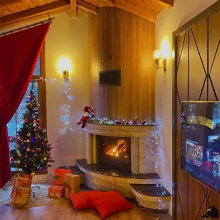 Dd Boutique Hotel-3
