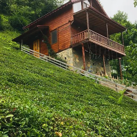 Vadi dağ evi bungalov-3