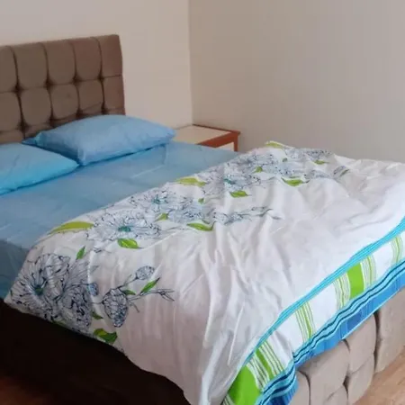 Siprign Viling Evleri Pelitli-2