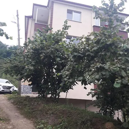 Memis Apartmani-2