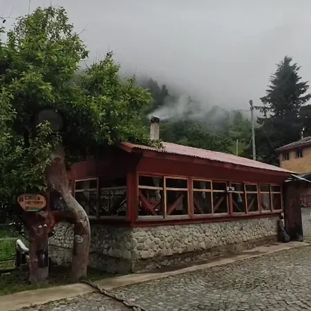 Cancik Dağ Evleri-2