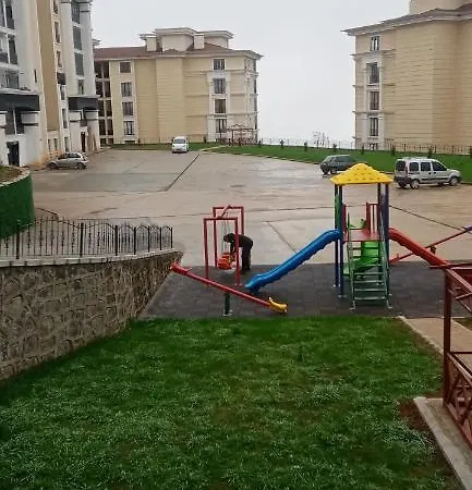 Sprink Livink-3