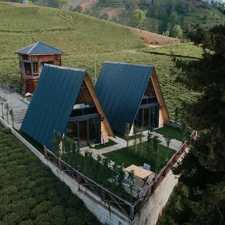 Mosa Bungalov-2