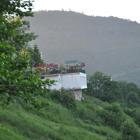 Sirt Butık Hotel-2