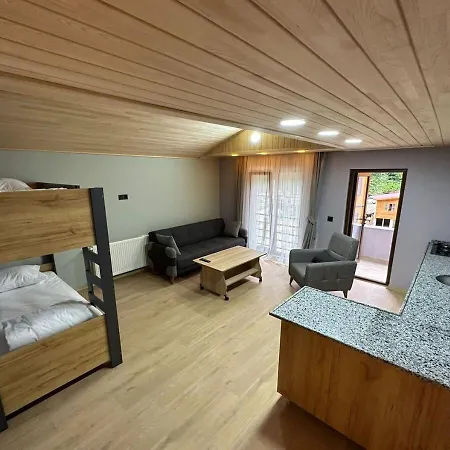 Aderfia Suite-2