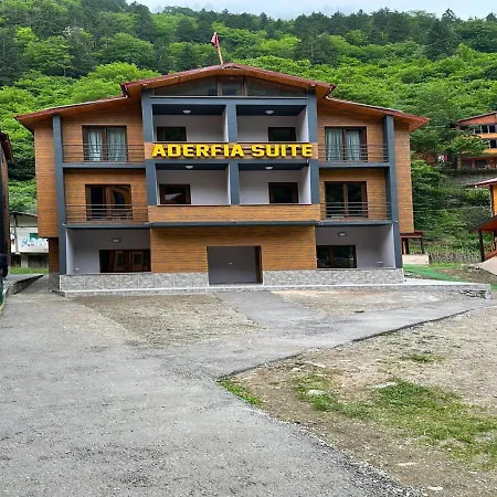 Aderfia Suite-3