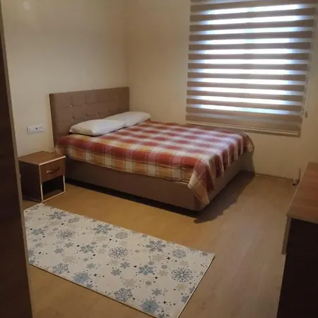 Dogankoey Dag Tesisleri Kelesin Yeri Ve Ogullari-3