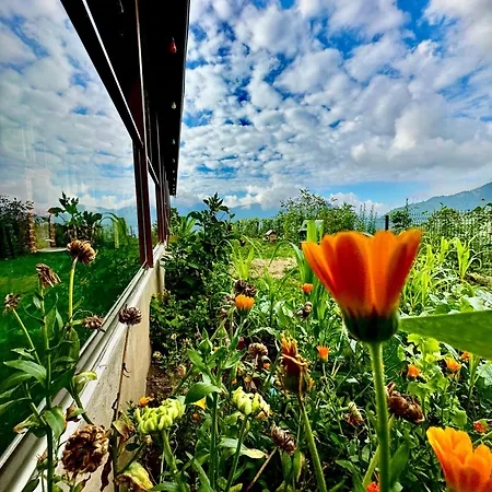 Trabzon Mountain House-Uzunlu-2