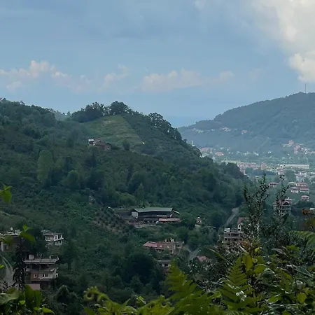 ASİL 101 Karadeniz kuş cenneti-3