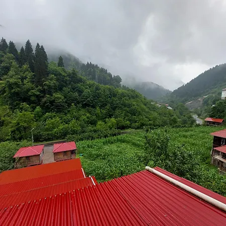 Gogalay Bungalov Hotel -Restoran-3