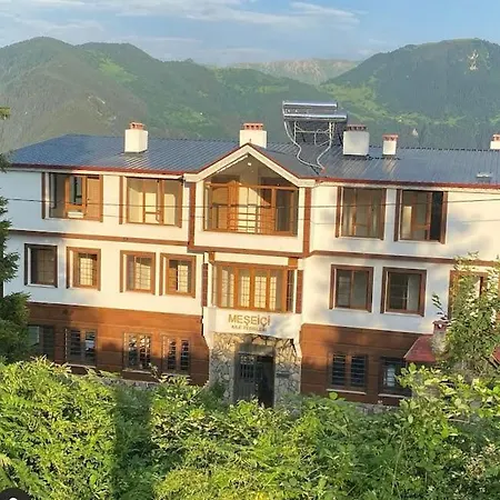 Meşeiçi Butik Aile Oteli-3
