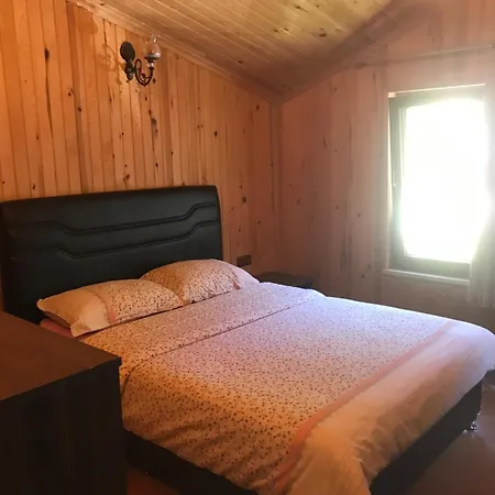 Delux Apart Otel-2