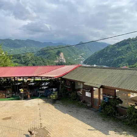 AYVADERE 102 Karadeniz kus cenneti dağ manzaralı-3