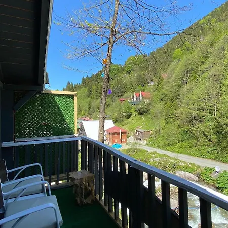Ayder Soci Dag Evleri-3