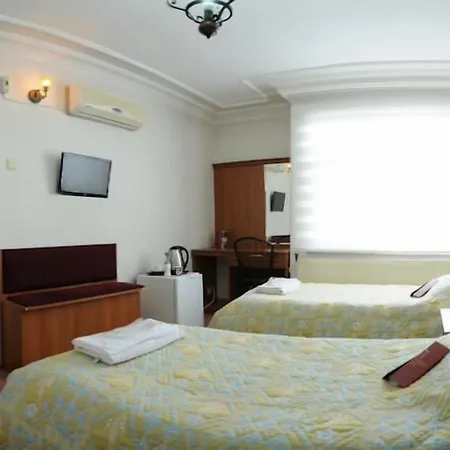 Grand Desi Hotel-2