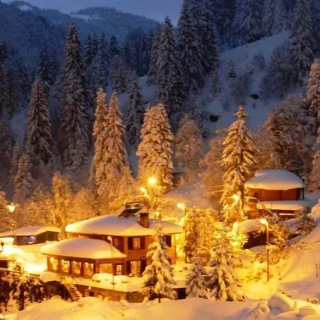 Ayder Avusor Hotel-2